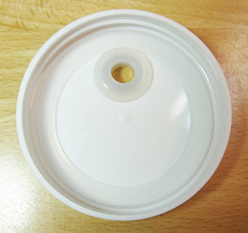 Single Mason Jar Lid Gaskets BPA and Phalate-Free Food-Grade - Click Image to Close