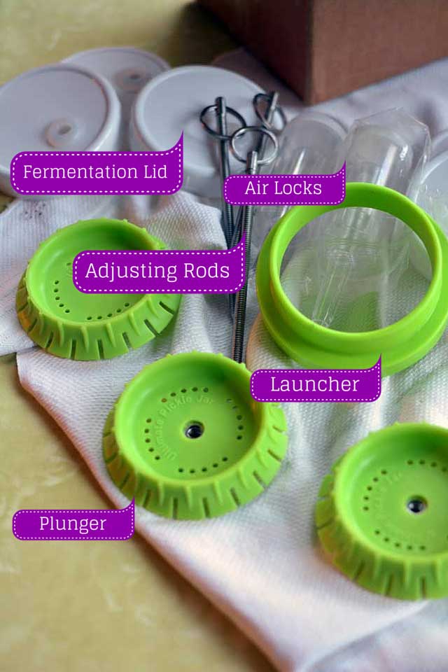 Pickle*Pushing No_Float Jar*Packer small batch fermenting kit