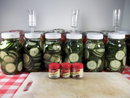Read more about the article Simple Brine Pickle Recipe