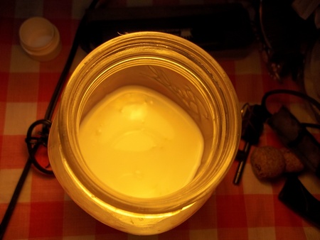 Read more about the article Fermented kefir cheese