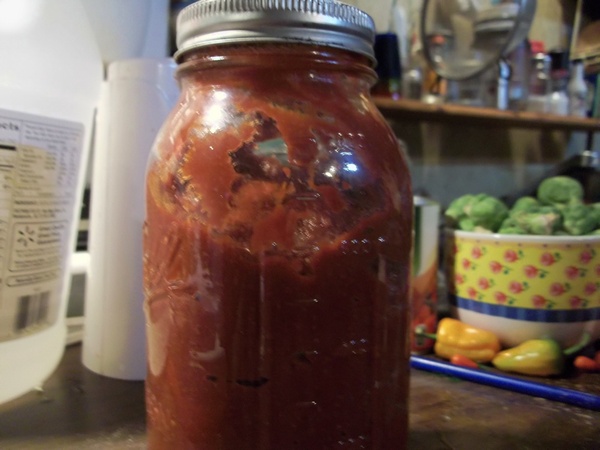 You are currently viewing Fermented Ketchup DIY