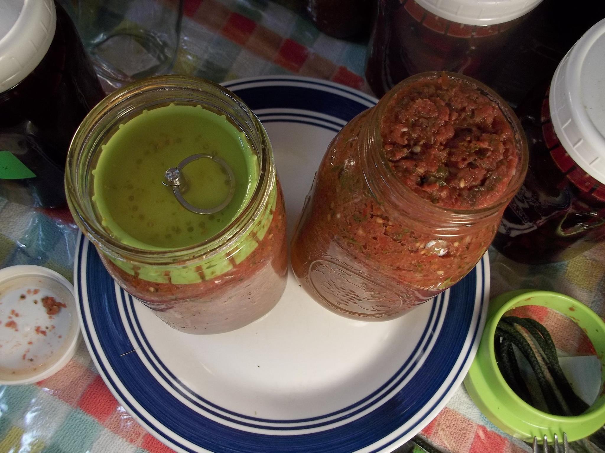 Read more about the article Basic Salsa Recipe: lacto fermented salsa