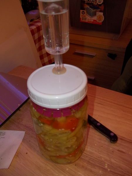 The Pickle*Pusher fermenting system in place and ready to hold anything under the brine