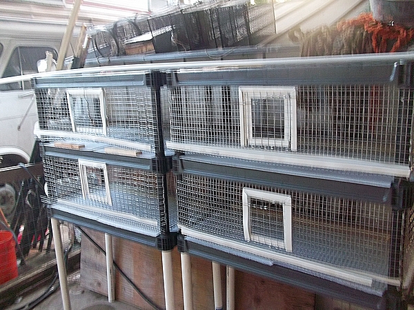 homemade quail cages