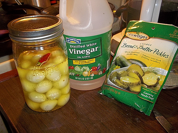 You are currently viewing Pickled Quail Eggs are so Easy to Make!