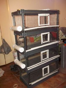 DIY quail pen plan using pre-made shelving system ⋆