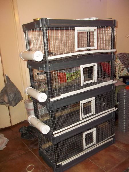 homemade quail cages