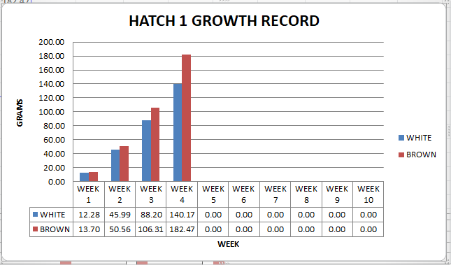 Quail Hatching Chart