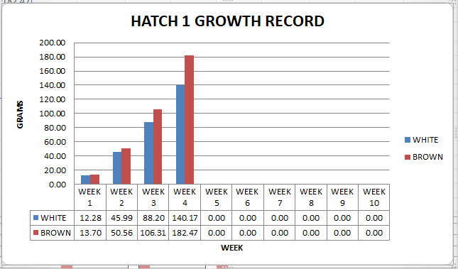 Read more about the article Quail Growth Record for our first Quail Hatch