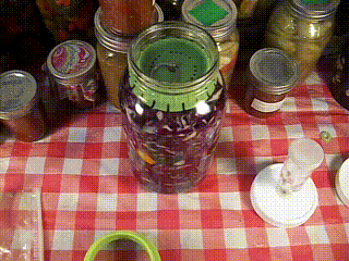 Pickle*Pusher assembly
